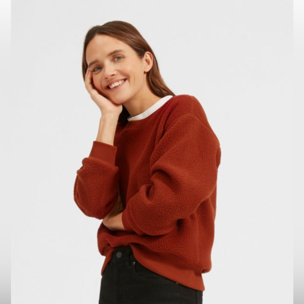 Everlane The ReNew Fleece Raglan Crop Sweatshirt in Rosewood Rust Red XXS
